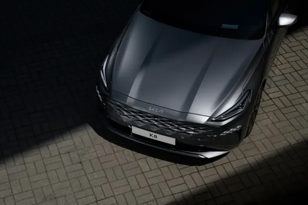 Casino Quality Bingo Aip Android/iOS